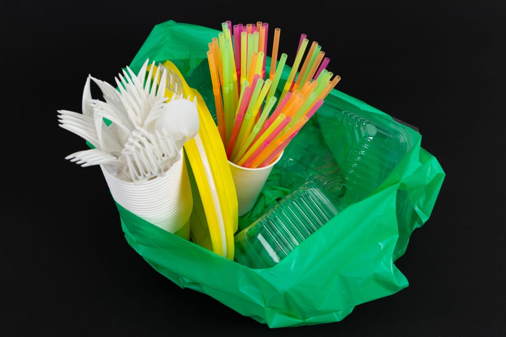 Envases Plásticos Desechables, Productos