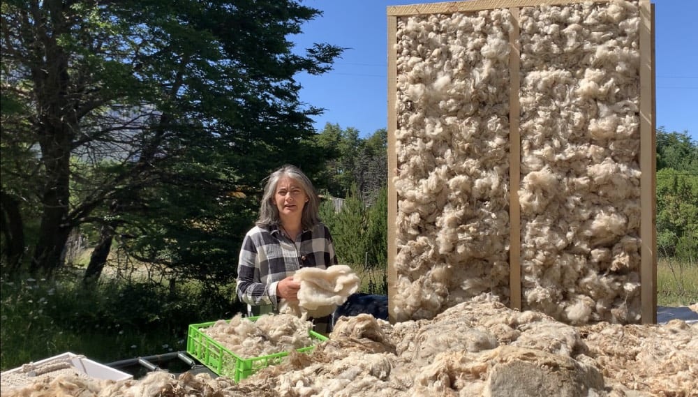 tono Grave engranaje Lanarq: aislante de viviendas hecho a partir de lana de ovejas impulsa la  economía circular y el desarrollo local en Aysén - País Circular