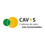 CAV+S