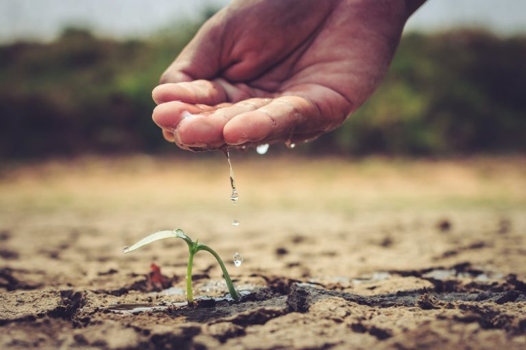 Uso de aguas grises en la agricultura surge como una solución a la escasez hídrica