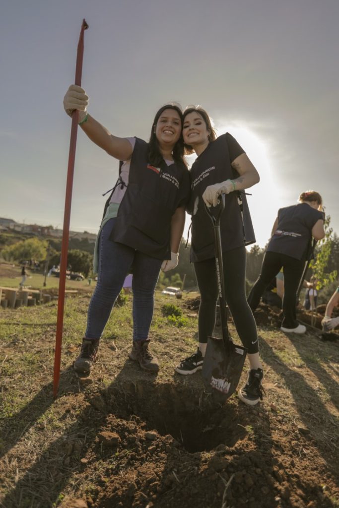 Banco de Chile inicia voluntariados de reforestación 2023, con plantación de arbolado urbano en zonas afectadas por incendios forestales en la Región del Biobío